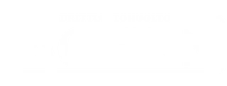 jag-finn logo